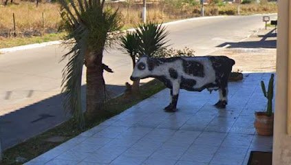 Alameda- do- ipê rosa -lagoa-santa