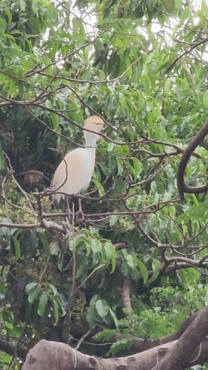 Praça- Piquenique- Literário-lagoa-santa