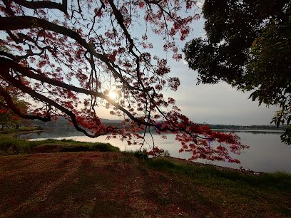 Orla -da- Lagoa-regiao-lagoa-santa